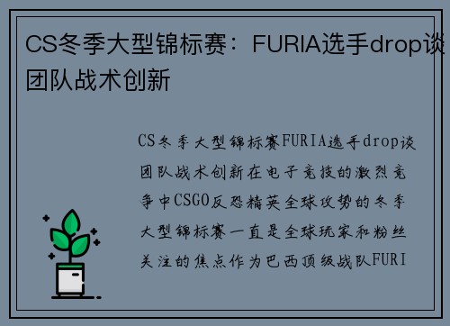 CS冬季大型锦标赛：FURIA选手drop谈团队战术创新
