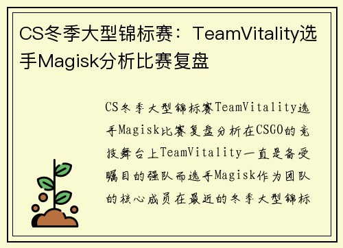 CS冬季大型锦标赛：TeamVitality选手Magisk分析比赛复盘